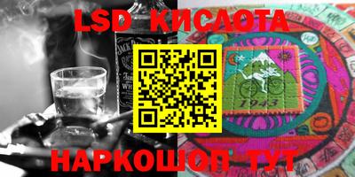 винт Канаш