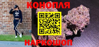 spice Камышлов