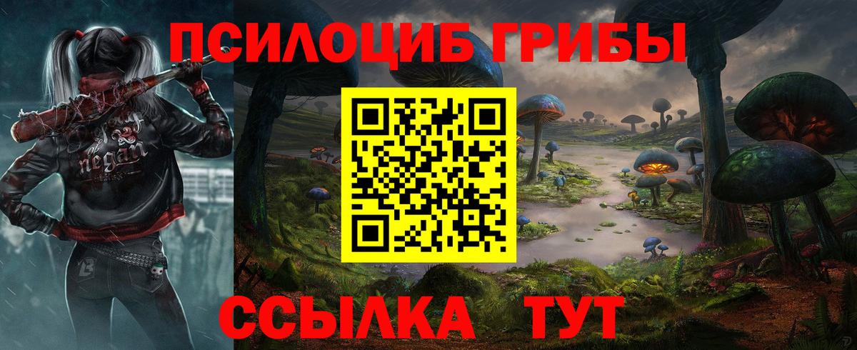 Галлюциногенные грибы Cubensis Аксай