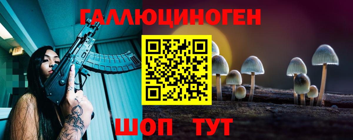 Псилоцибиновые грибы Psilocybine cubensis  Галлюциногенные грибы MAGIC MUSHROOMS  Аксай  Вход с VPN 